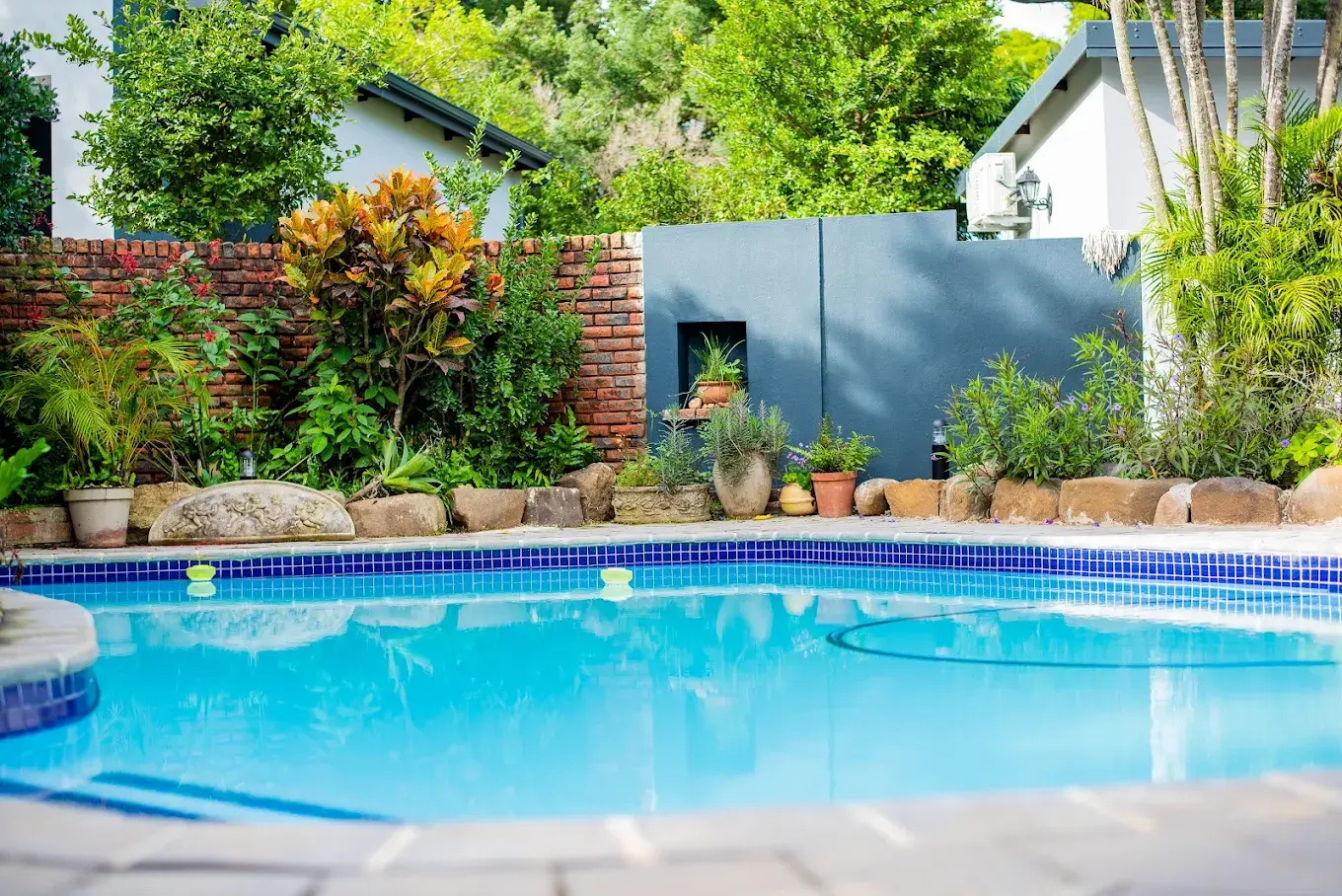 Zenz BnB swimming pool